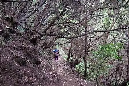 Casas Galloway - Anaga Misteriosa Y Magica Dom wakacyjny